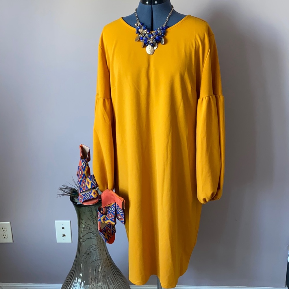 Puff Sleeved Dress